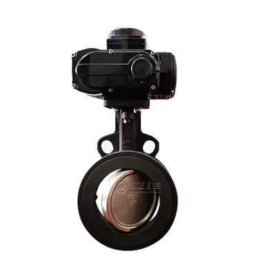 Double Offset Butterfly Valve