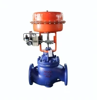 Smart Valve Positioner